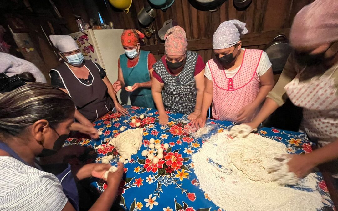 Cooperativas que construyen paz: mujeres, territorio y esperanza