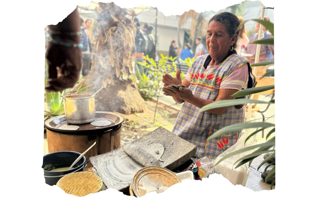 Mujeres, cooperativismo y economía para la vida: Una reflexión estructural desde el caso Michoacán en el marco del 8 de marzo